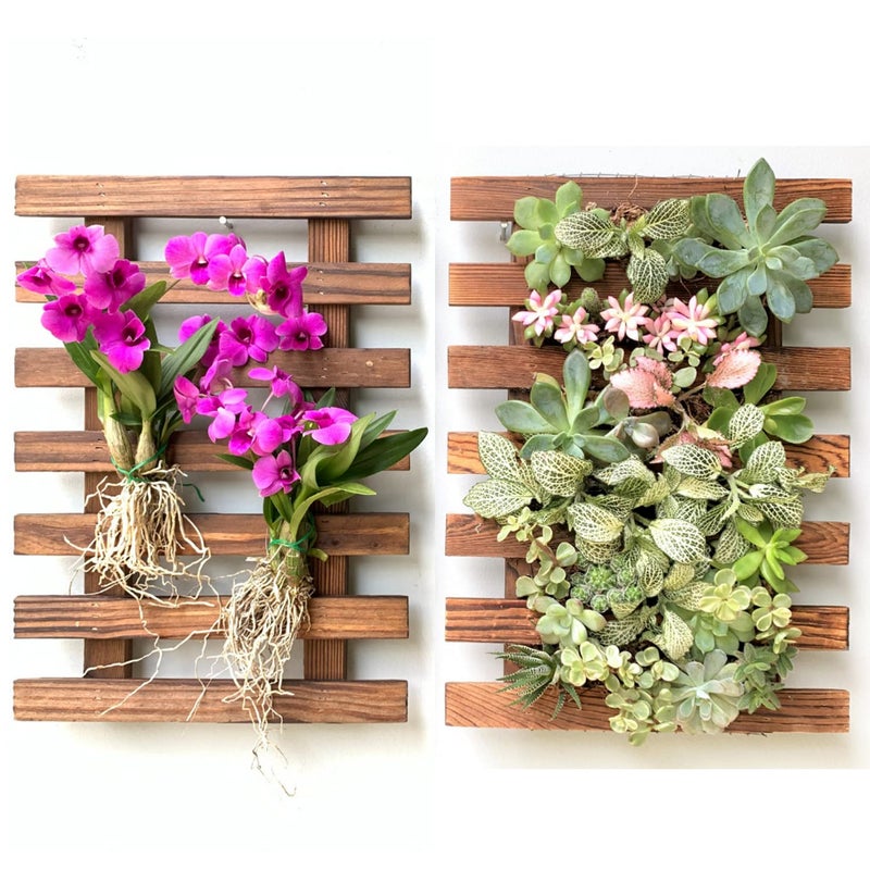 ShopLaLa Wall Planter - 2 Pack Wooden Orchid Planter Frame Display Outdoor Plants, Wall Mount Air Plants Succulent Holder Hanger, Vertical Garden Plant Wall Decor Macetas para Orquideas 15.7" (40cm) - Image 1